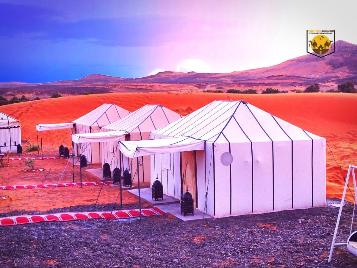Camel Trips Luxury Camp 호텔 메르주가 외부 사진